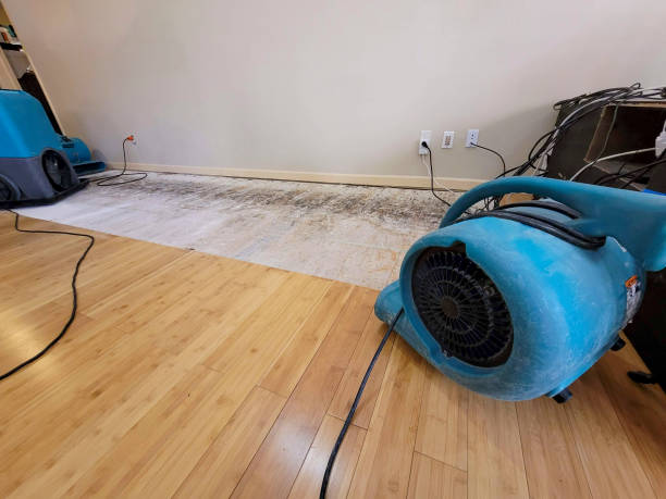 Reliable Basement Flood Cleanup contractor in Albemarle, NC by Hirex Water Damage