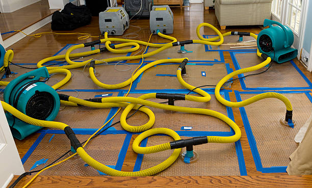 Professional Basement Flood Cleanup technician working in Albemarle, NC